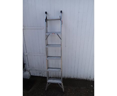 Extending alloy ladder
