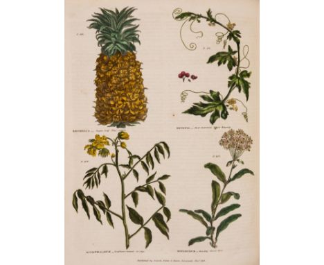Green (Thomas) The Universal Herbal; or, Botanical, Medical, and Agricultural Dictionary, 2 vol., first edition, hand-coloure