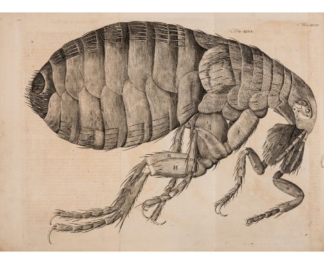 Hooke (Robert) Micrographia Restaurata: Or, the Copper-Plates of Dr. Hooke's Wonderful Discoveries by the Microscope, 33 engr