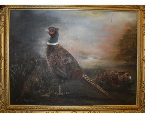 H DOUGLAS "Ginger Tom", watercolour, signed lower right, together with K PIGOTT "The trio", oil on board of pheasant and two 