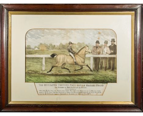 A framed Trotting Pony print dated 1876, image size 32cm x 44cm