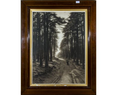 A large mahogany framed print depicting a woodland scene, image size 77cm x 56cm