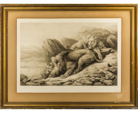 A gilt framed print of lions, signed in pencil Fred Thomas Smith, image size 50cm x 76cm