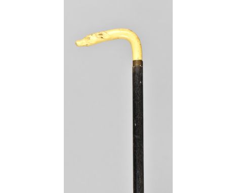 An Early 20th Century Ebonized Child's Walking Cane or perhaps Riding Whip with Celluloid Handle Modelled as Greyhound's Head