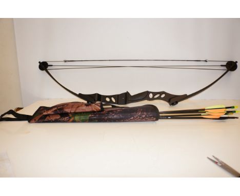 Bow and Arrow in Soft Case to include Arrows 