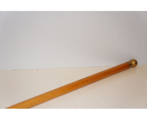 Walking Stick/Pool Cue