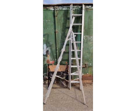 A Black and Decker workmate, a pair of Titan step ladders and a Titan double ladder 