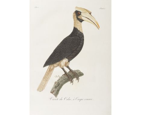 Levaillant, FrançoisHistoire Naturelle d'une Partie d'Oiseaux Nouveaux et Rares de l'Amérique et des Indes. Paris: J.E. Gabri