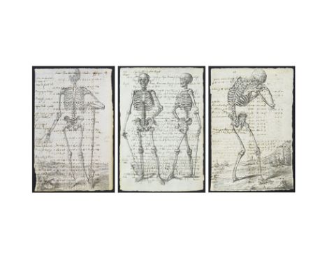 Three (3) 18th Century Manuscript Pages Decorated with Later Engravings "Skeleton". Toning from age or in good condition. Mea