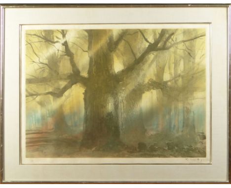 20th Century Color Etching, Forest Scene. Pencil Signed (illegible). Good Condition. Measures 21-1/2 Inches Tall and 29-1/2 I
