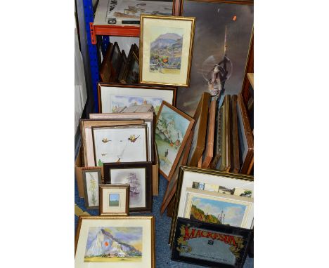 A QUANTITY OF ASSORTED PRINTS ETC, to include T.N Ackland limited edition Kestrel prints, hand coloured prints signed Diaz de