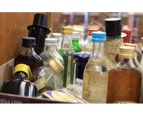 		A collection of alcohol miniatures, gin and rum