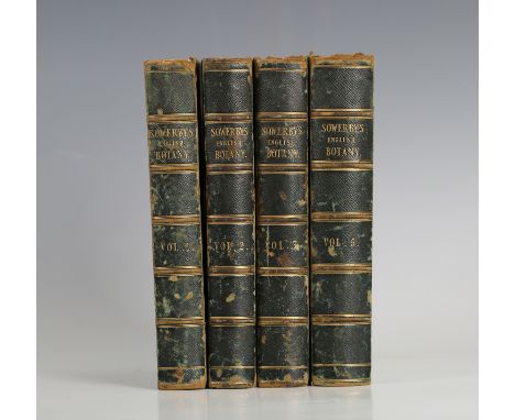 SMITH, James Edward and James SOWERBY. English Botany; or, Coloured Figures of British Plants, with their Essential Character
