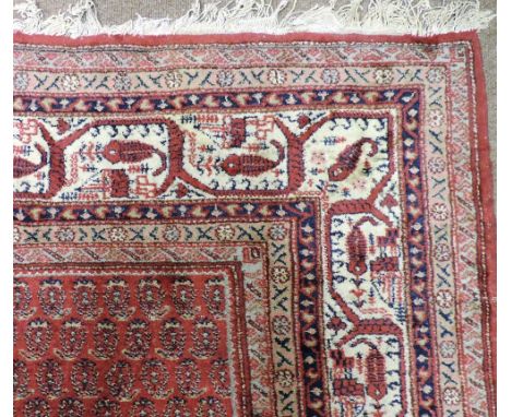 An antique Oriental Carpet, of rust red ground with multiple narrow and one large white ground border, approx. 401cms x 295cm