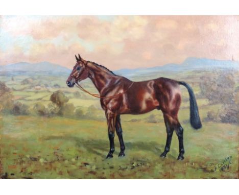 Maj. G.A. Cattley, 1896 - 1978

Horse Portrait, "A Bay Horse in an attractive and extensive County Limerick landscape," O.O.B