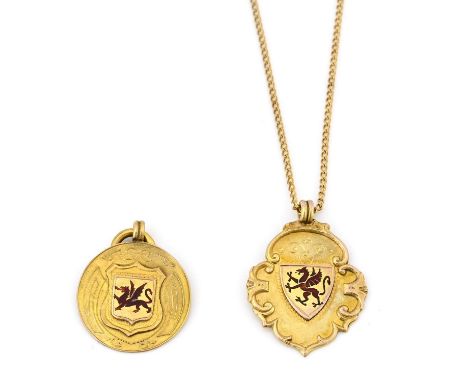 Two 9ct gold enamel medallions, one with chain, 11.6g (2)