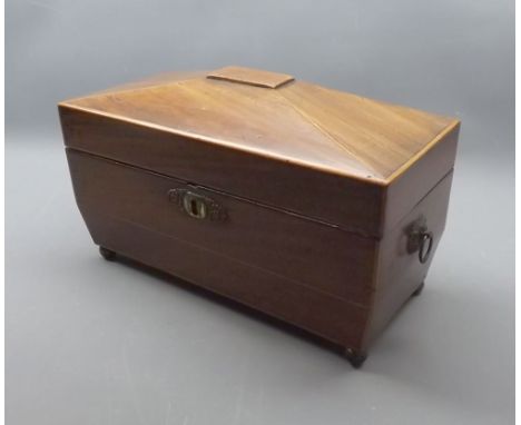 Late Regency period mahogany tea caddy of sarcophagus form on four ball feet, 11 1/2" wide (interior void) 