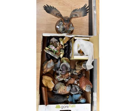 Collection of ceramic birds, large eagle and British garden birds