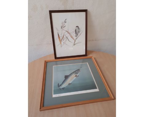  Sale Item:    REED WARBLER & BROWN TROUT PRINTS  Vat Status:   No Vat   Buyers Premium:  This lot is subject to a Buyers Pre