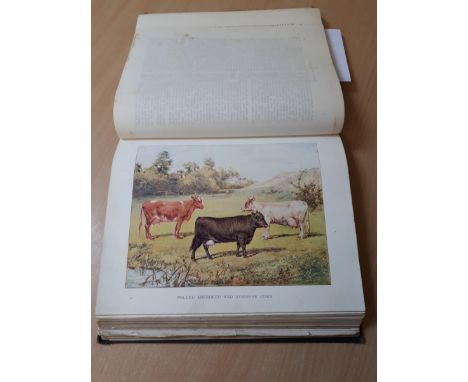  Sale Item:    LIVESTOCK IN HEALTH & DISEASE CASSELL & COY LONDON COL. PLATES  Vat Status:   No Vat   Buyers Premium:  This l