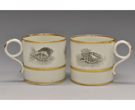 A pair of Worcester Barr, Flight and Barr coffee cans, printed with shells, banded in gilt, impressed mark, 1804 - 1813