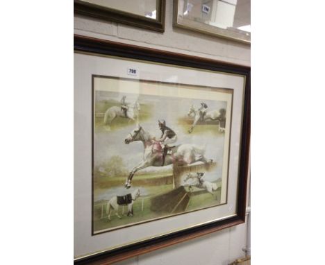 Framed and Glazed D. Snee Print of Desert Orchid