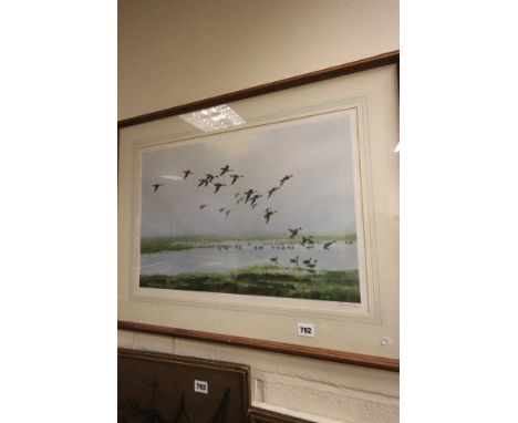 Peter Scott Bird Print, Ducks in Flight, signed in pencil