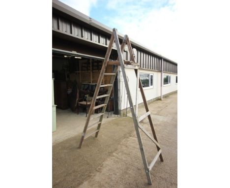 Large Rustic Step Ladder