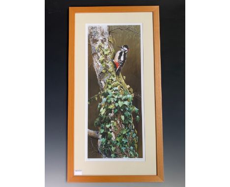 After Terance James Bond (b.1946) A large scale study of a woodpecker, signed limited edition lithographic print, pencil sign