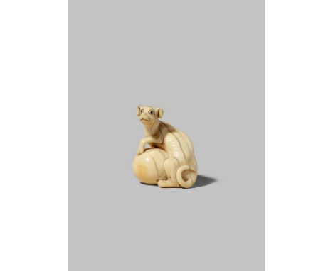 A JAPANESE IVORY NETSUKE EDO/MEIJI PERIOD Depicting a startled-looking dog with its forepaws resting on a large ball, the pup