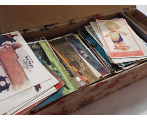 A good collection of early 20thC and later postcards to include portrait, novelty, scenic and animal examples