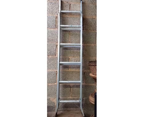 ABRU 3 WAY LADDER