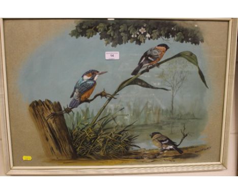 Peter R Holmes, study Kingfisher and Finches