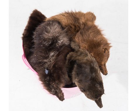 A group of vintage fur stoles including fox etc
