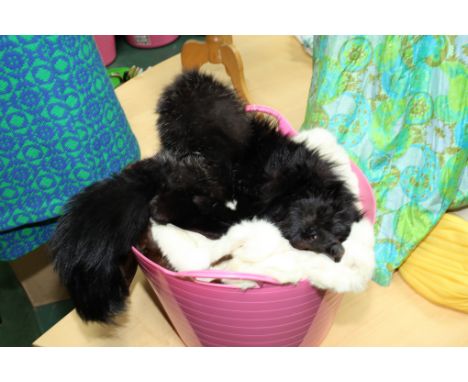 A group of vintage fur stoles including fox etc