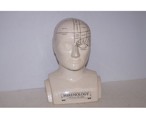 Ceramic Phrenology Head - 30cm h