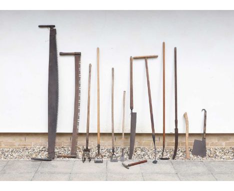Thirteen antique garden implements, 19th century and later, including a cleaver, hoes, two saws and an axe (13)Condition Repo