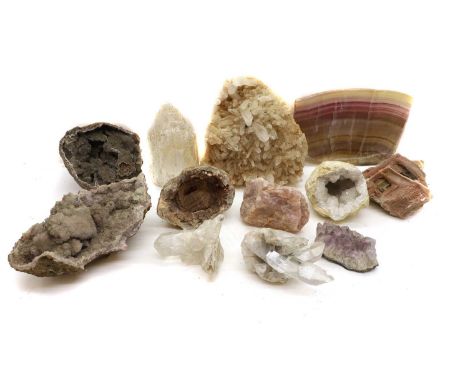 A collection of mixed quartz, agate, fossils and other minerals, including geodes, fossils of ferns, and an ammonite, largest