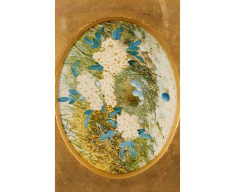 WILLIAM CRUICKSHANK (1848-1922) A study of a birds nest with blue eggs and a white and blue flower surround, signed, watercol