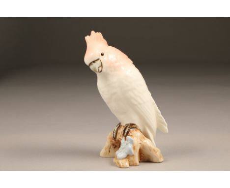 Royal Dux porcelain cockatoo figure ornament, 18cm high.CONDITION REPORT:Ornament is in very good condition with no chips, cr