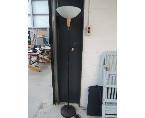 A modern standard/reading lamp