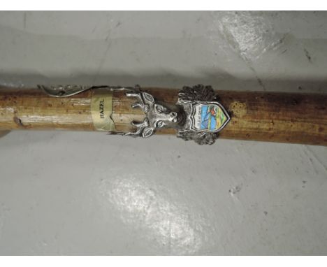 A vintage walking stick with horn handle and and Scottish decoration