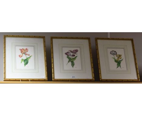 Pictures and Prints - a set of three, A. Leck, Botanical illustrations, Dutch Tulips, 22.5cm x 16cm, gilt frames