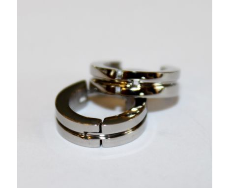 Cased pair of titanium earrings