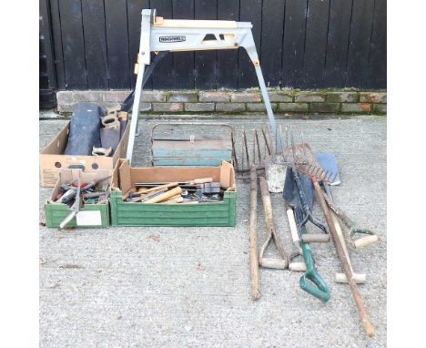 A collection of gardening and hand tools 