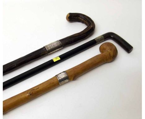 Two walking sticks with silver rims, police constable pike (1896) and Chichester Hanmer (1902) and one stick without band. Co