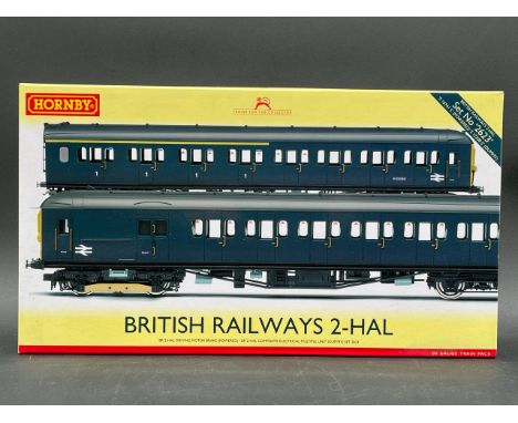 Hornby R3341A Class 2-HAL 2623 2 car EMU in BR blue, Not Tested as appears un-disturbed from packaging(700g)From collection t