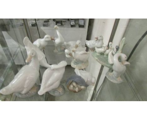 Nine Lladro/NAO duck figures and one other. ****Condition report**** All pieces undamaged