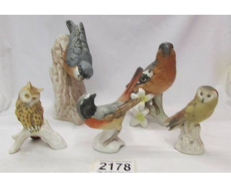 Five Goebel bird figures including 2 owls.