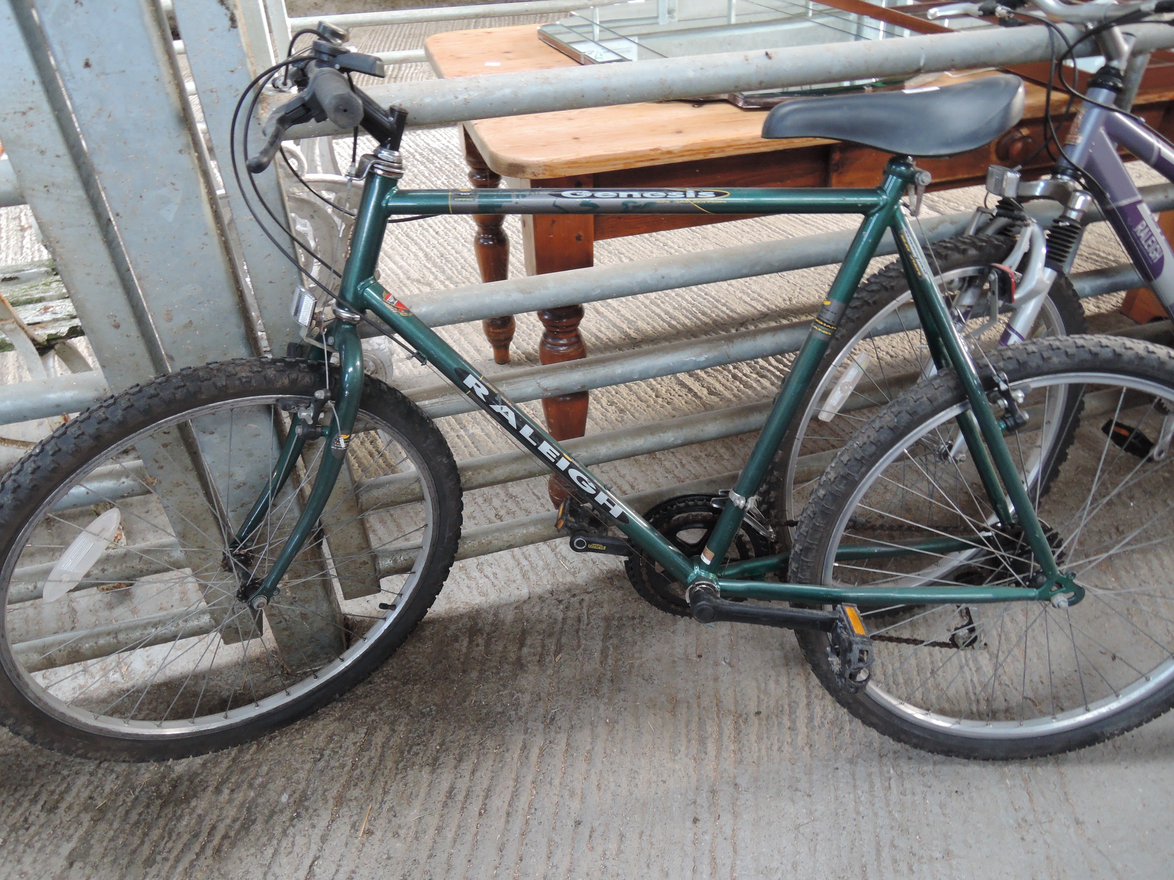 raleigh genesis bike